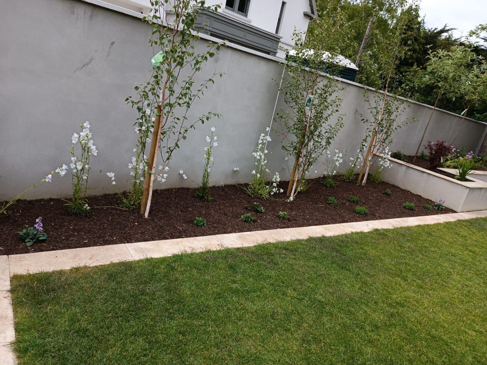 Professional Landscaping Services in Finglas