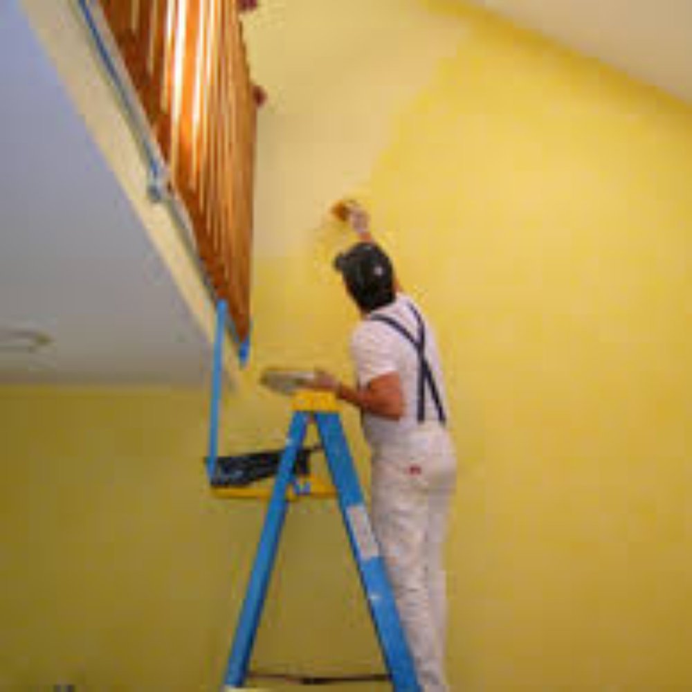 Professional Painter in Fairview