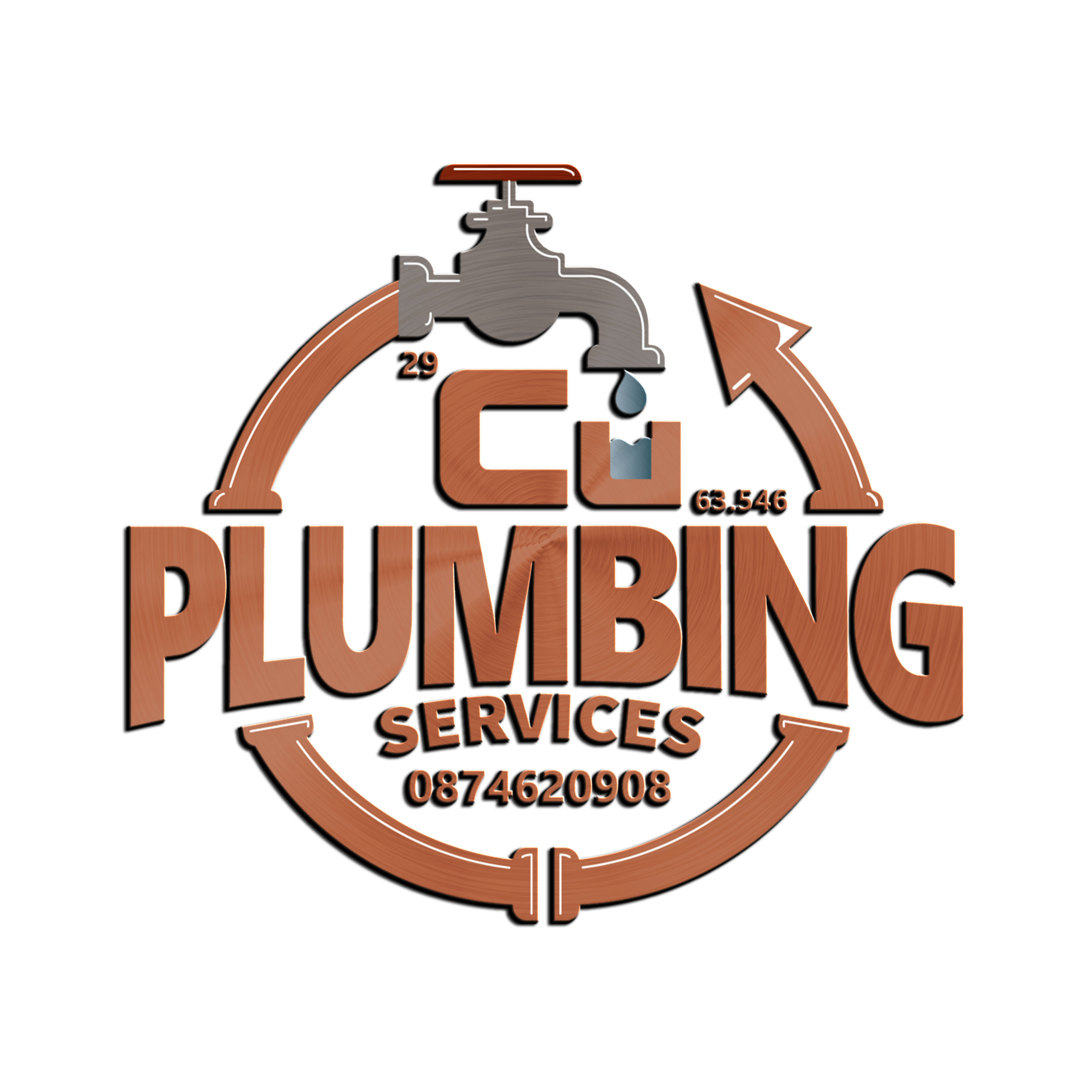 Professional Plumbing Services in Dundrum