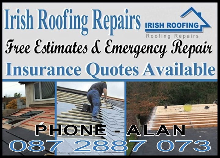 Professional Roofer in Balbriggan