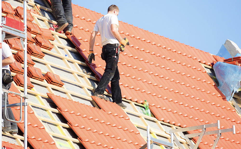 Professional Roofing Services in Terenure