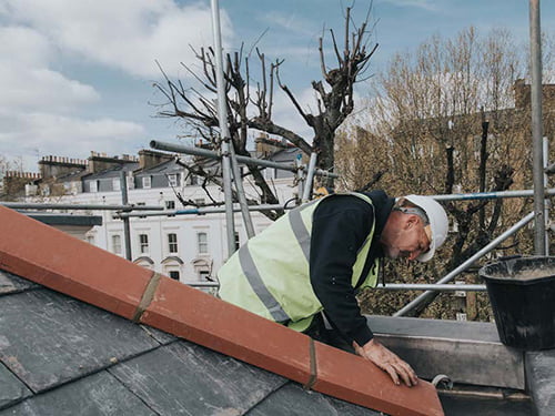 Professional Roofing Services in Terenure