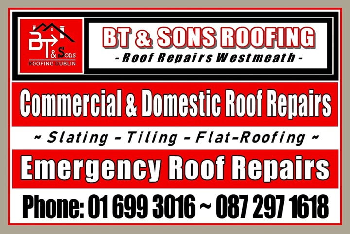Roofing Inspectors in Westmeath