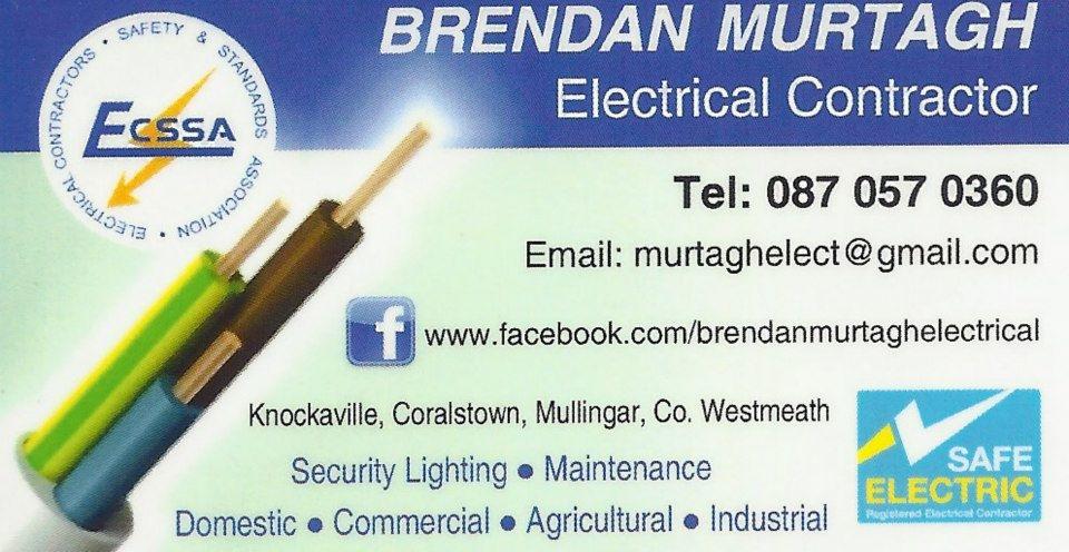 Top Electricians in Westmeath
