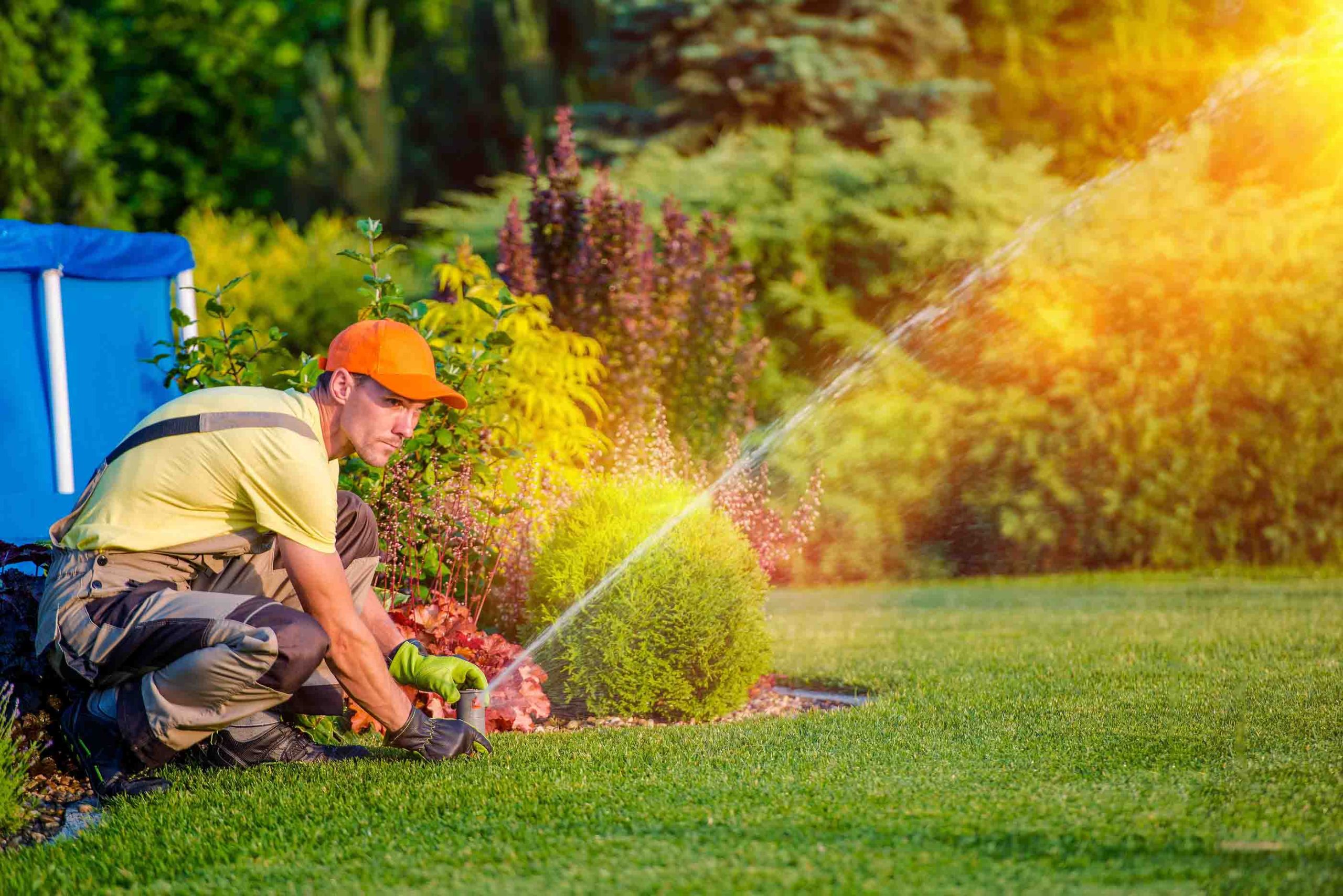 Top Irrigation Specialists in Louth