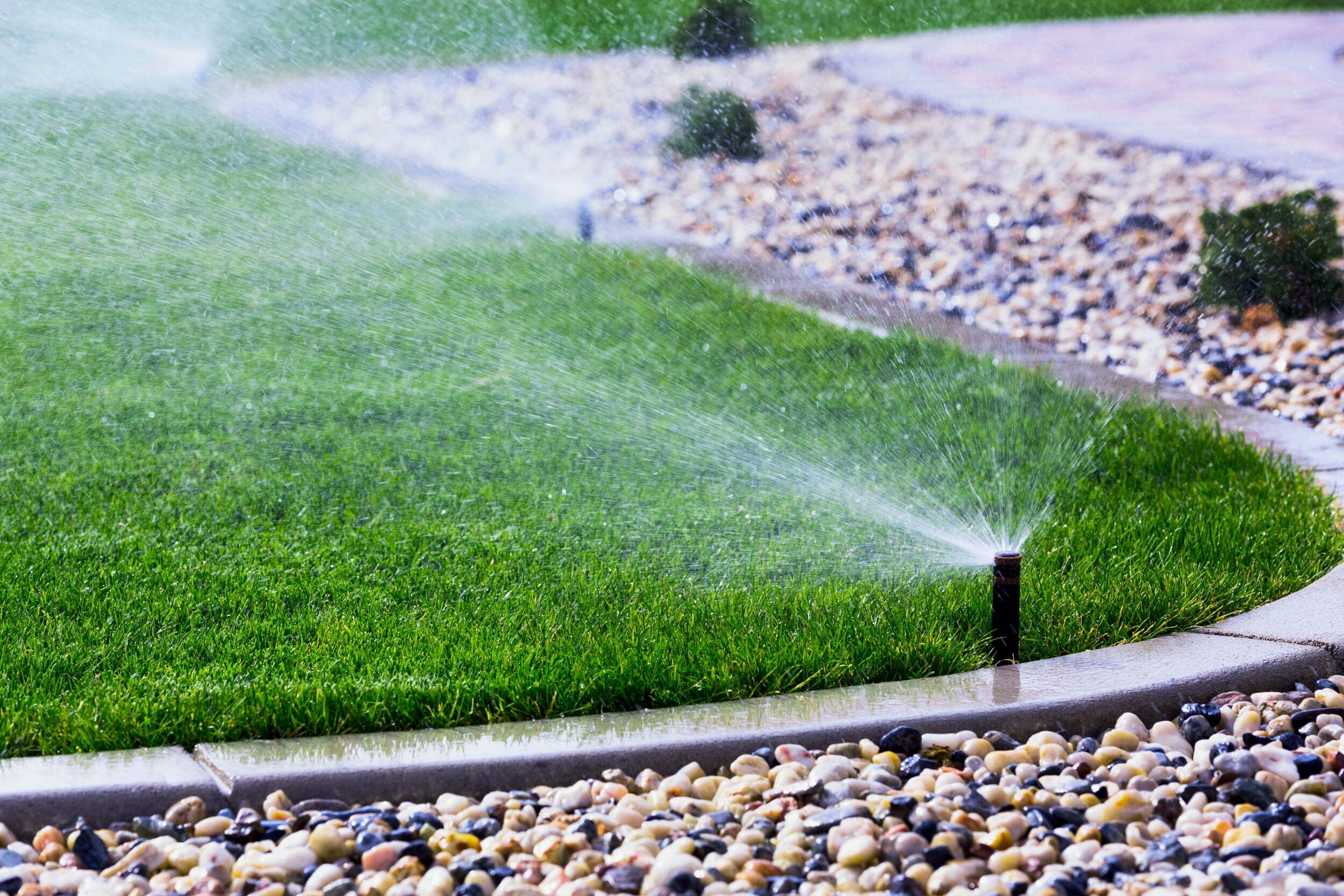 Top Irrigation Specialists in Louth