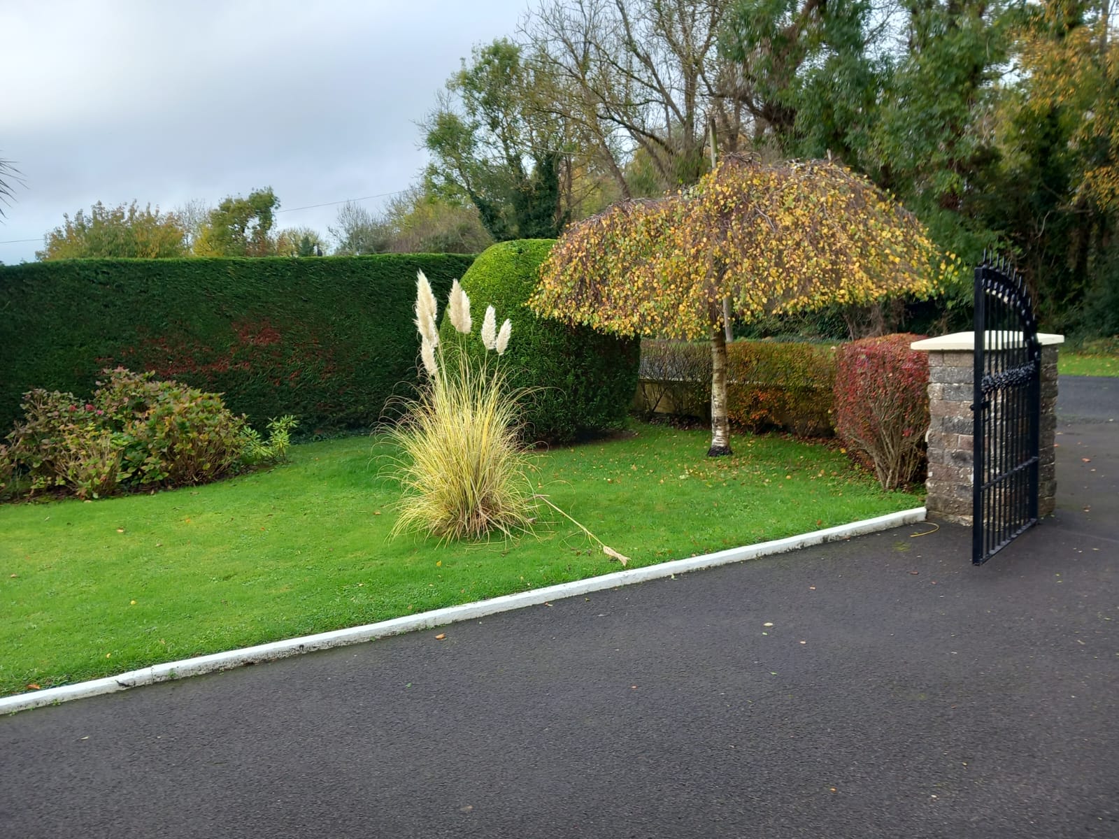 Top Landscaping Services in Malahide
