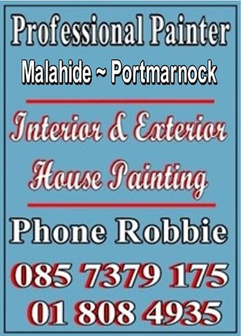 Top Painter in Portmarnock