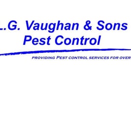 Top Pest Control Specialists in Offaly